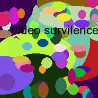 video survilence camera